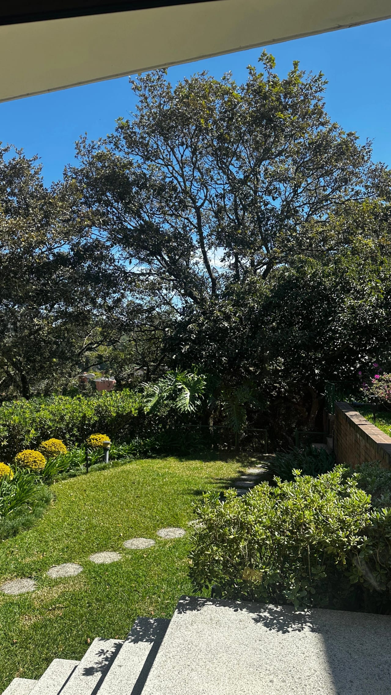 Espectacular casa en venta en zona 15 — foto 1 de 1