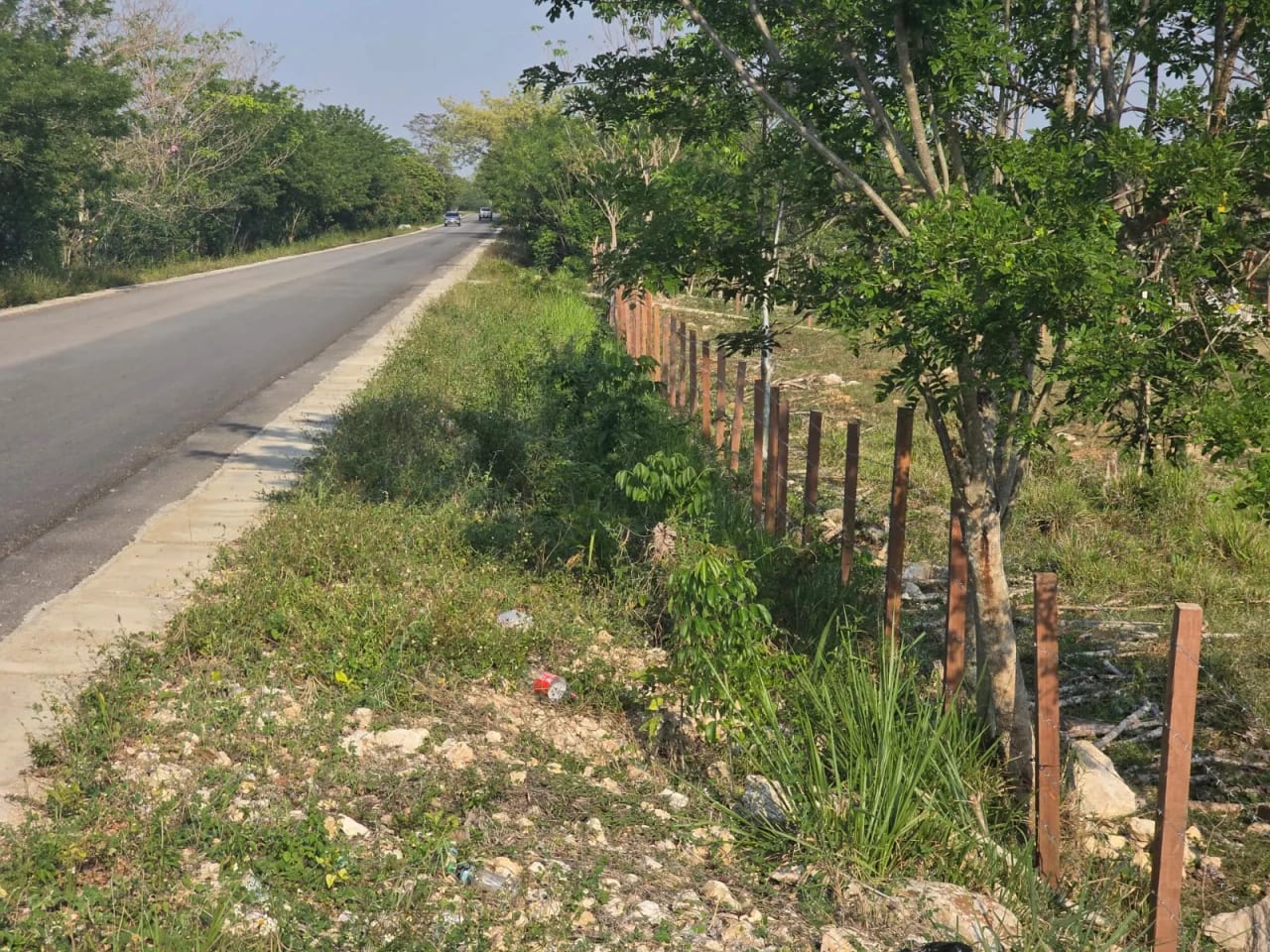 Propiedad en Santa Ana Peten — foto 3 de 17