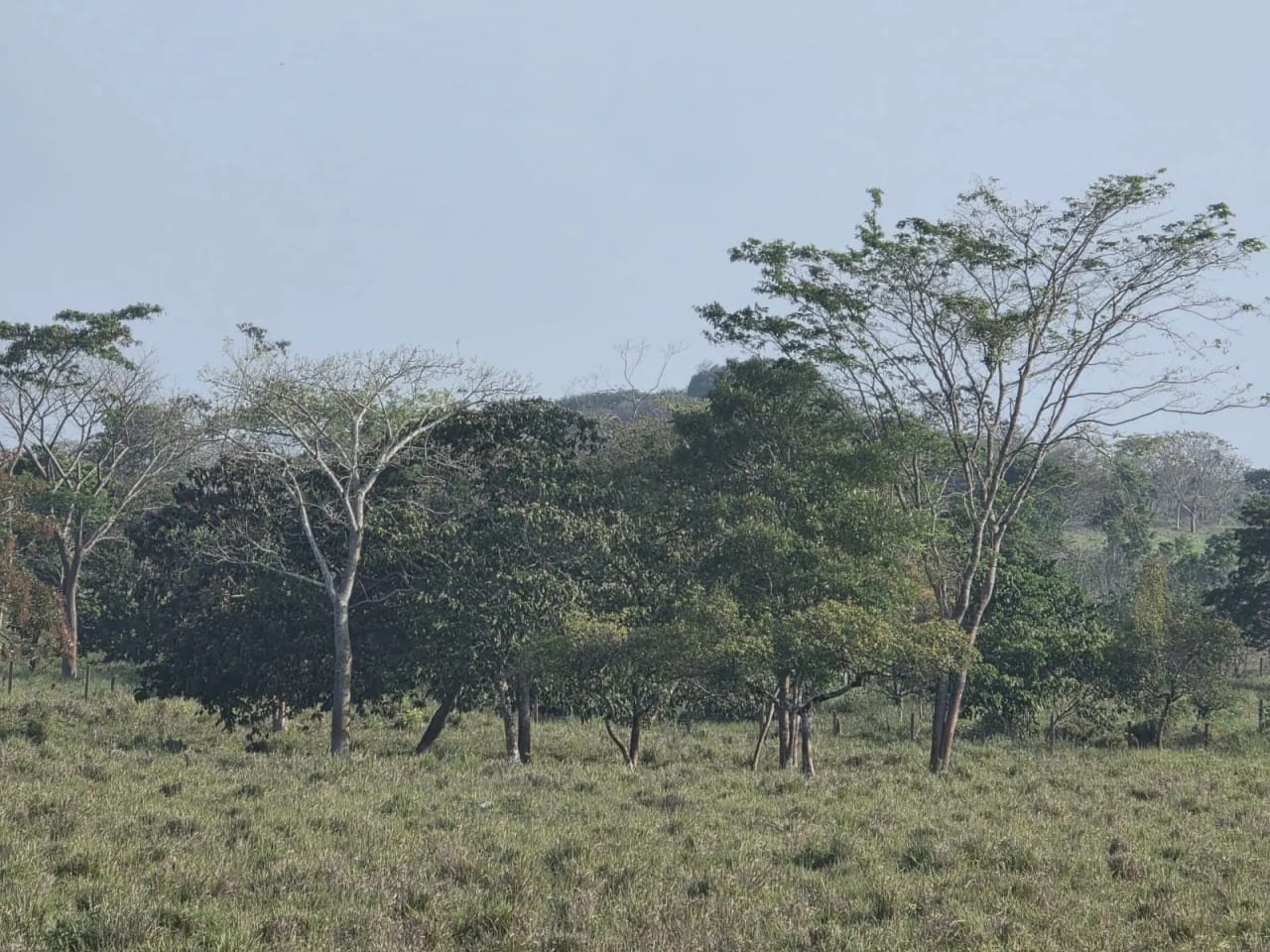 Propiedad en Santa Ana Peten — foto 10 de 17