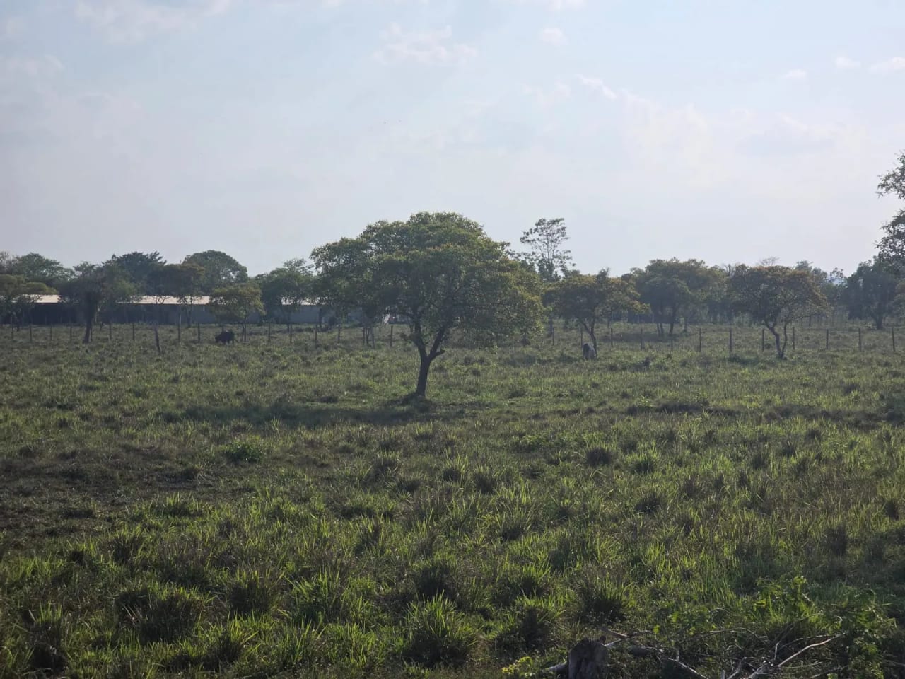 Propiedad en Santa Ana Peten — foto 15 de 17